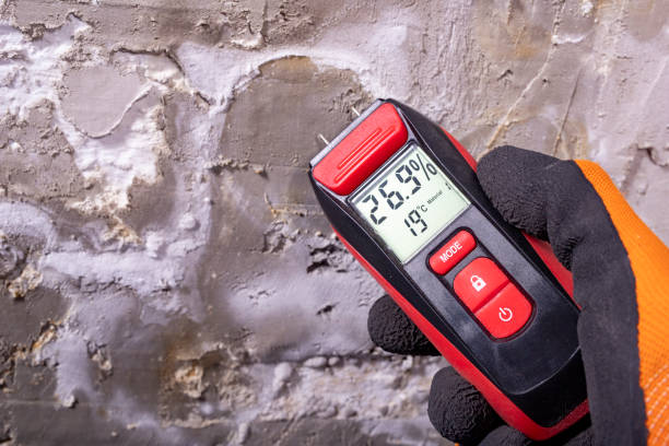 Best Fast Mold Removal  in Rockville, MD