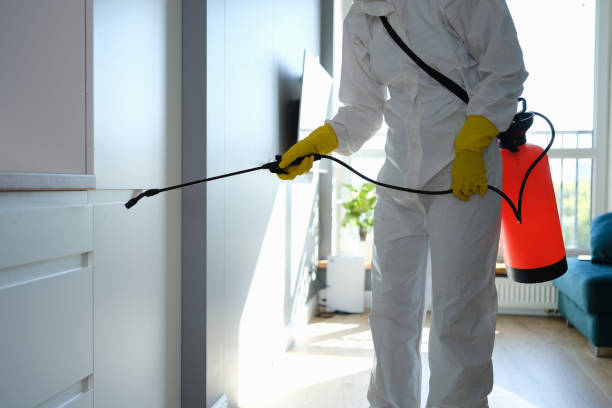 Best Affordable Mold Removal  in Rockville, MD