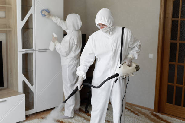 Best Professional Mold Removal  in Rockville, MD